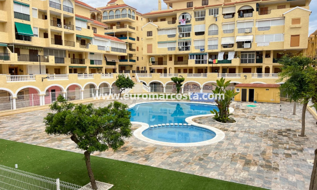 Venta - Apartamento / piso - La Mata