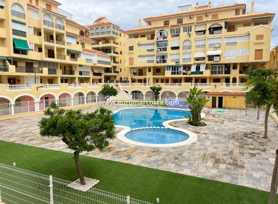 Sale - Apartment / flat - La Mata