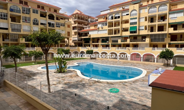 Venta - Apartamento / piso - La Mata