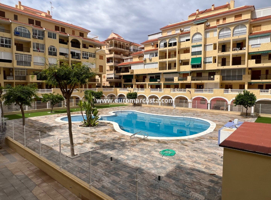 Venta - Apartamento / piso - La Mata