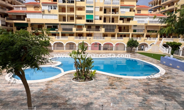 Venta - Apartamento / piso - La Mata