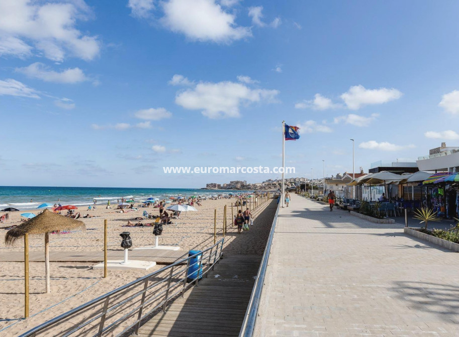 Sale - Apartment / flat - La Mata