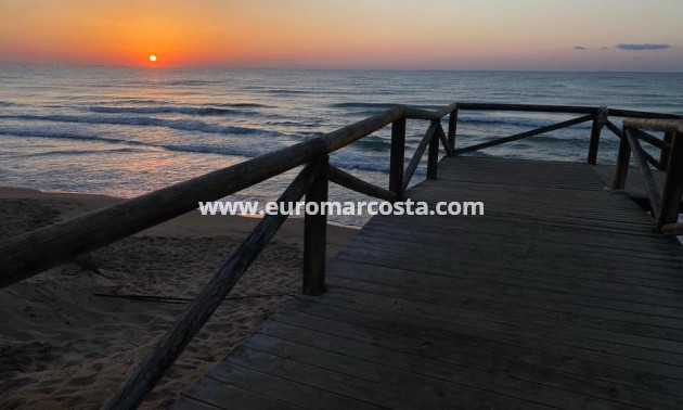 Sale - Apartment / flat - La Mata