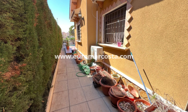 Venta - Chalet - Guardamar del Segura - raso