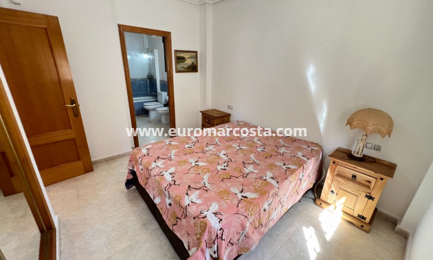 Venta - Chalet - Guardamar del Segura - raso