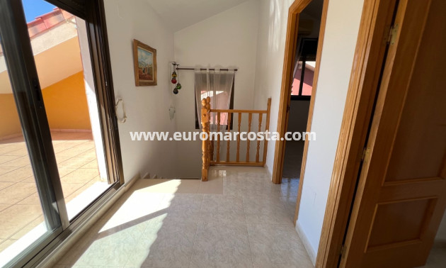 Venta - Chalet - Guardamar del Segura - raso