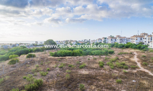 Venta - Apartamento / piso - Orihuela Costa