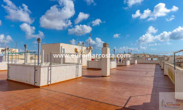 Sale - Penthouse - Torrevieja - TORREVIEJA