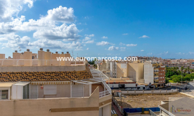 Sale - Penthouse - Torrevieja - TORREVIEJA