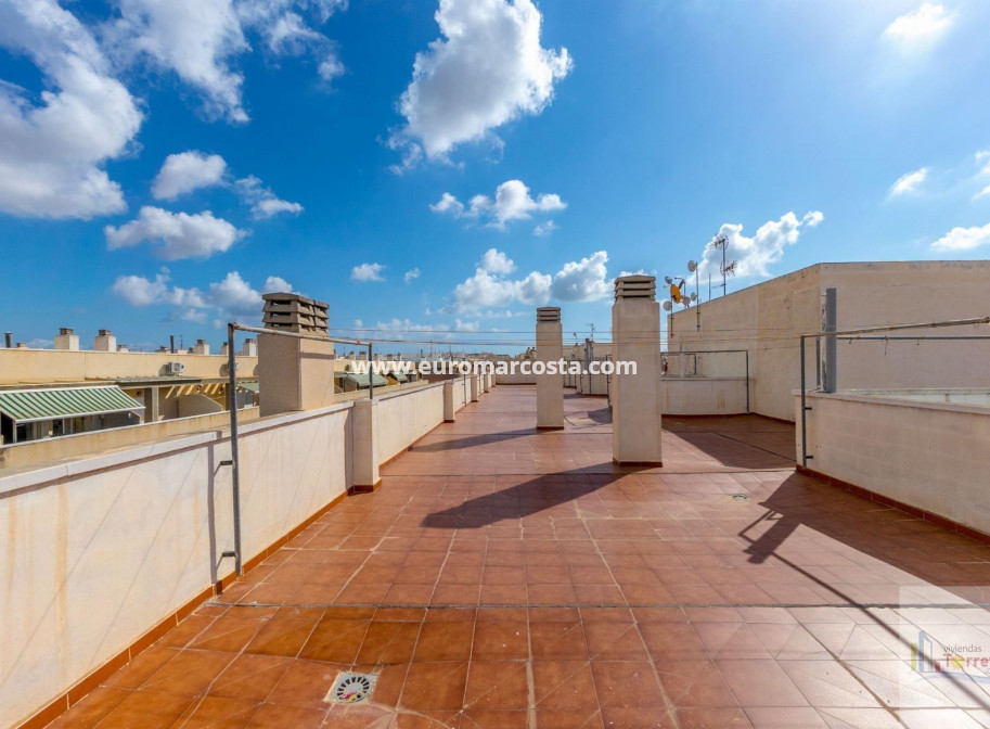 Sale - Penthouse - Torrevieja - TORREVIEJA