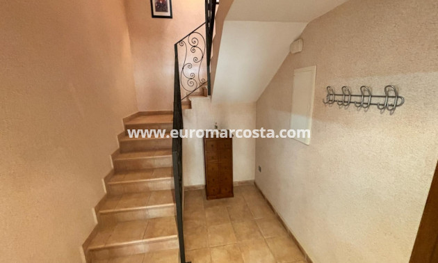 Sale - Detached House / Villa - Torrevieja