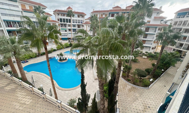 Sale - Apartment / flat - La Mata