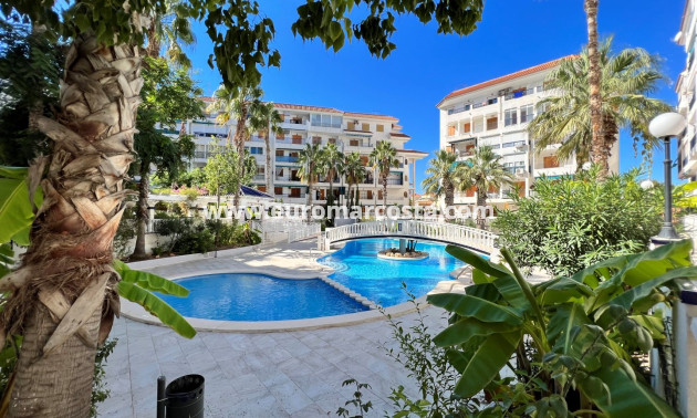 Sale - Apartment / flat - La Mata