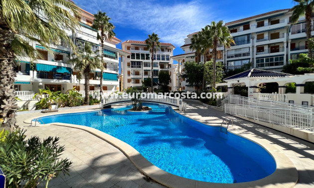 Sale - Apartment / flat - La Mata