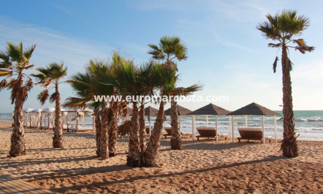 Sale - Apartment / flat - La Mata