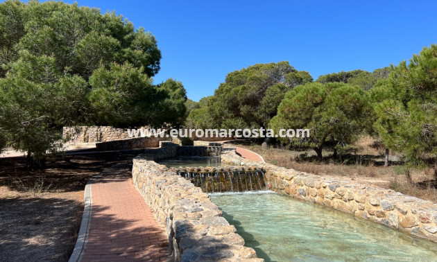 Sale - Apartment / flat - La Mata