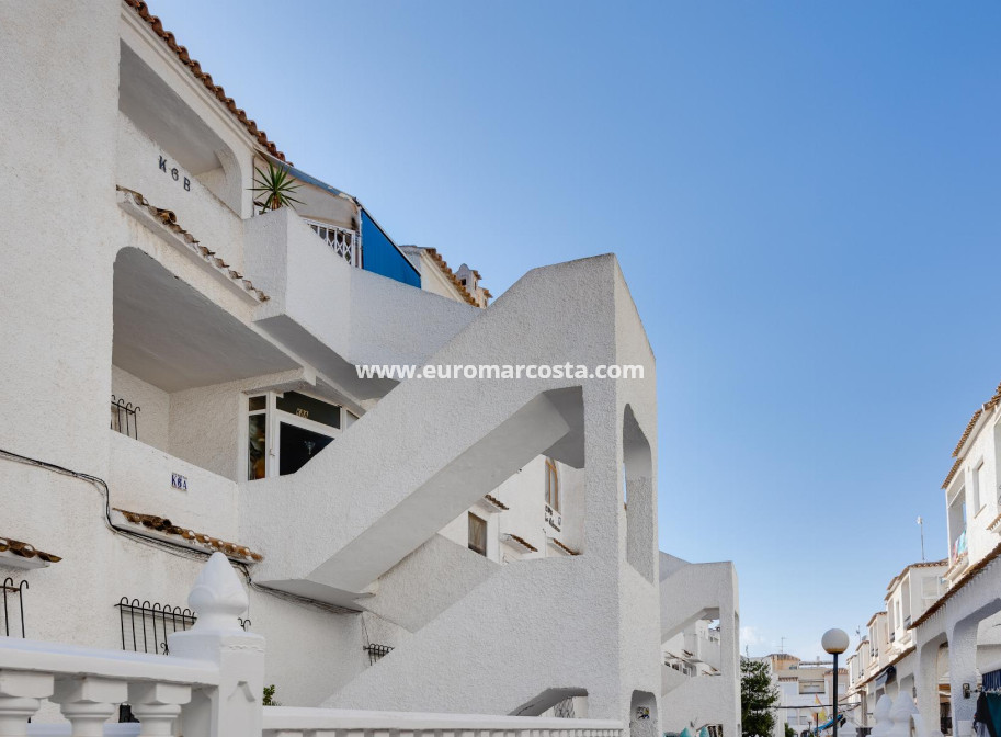 Objekte zum Wiederverkauf - Bungalow - Torrevieja - TORREVIEJA