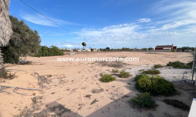 Sale - Plot / Land - Guardamar del Segura