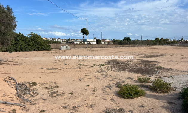 Venta - Parcela / Terreno - Guardamar del Segura