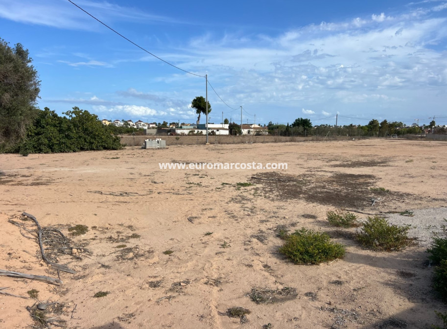 Sale - Plot / Land - Guardamar del Segura