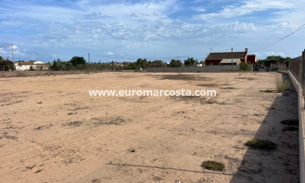 Venta - Parcela / Terreno - Guardamar del Segura