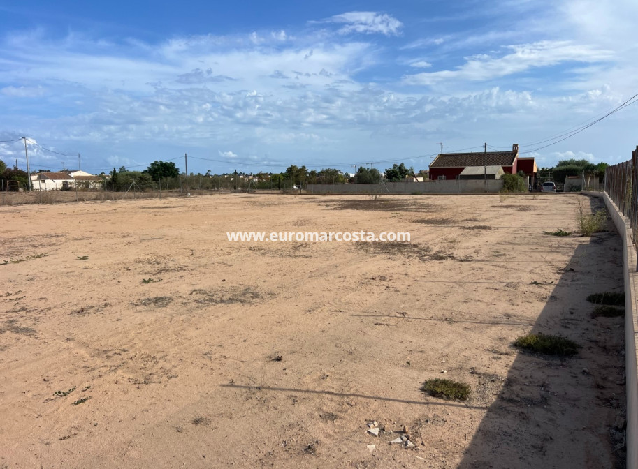 Sale - Plot / Land - Guardamar del Segura