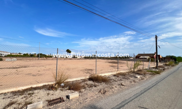 Venta - Parcela / Terreno - Guardamar del Segura