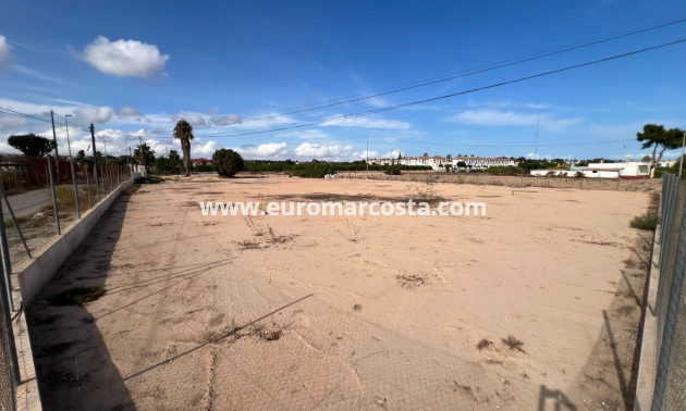 Sale - Plot / Land - Guardamar del Segura