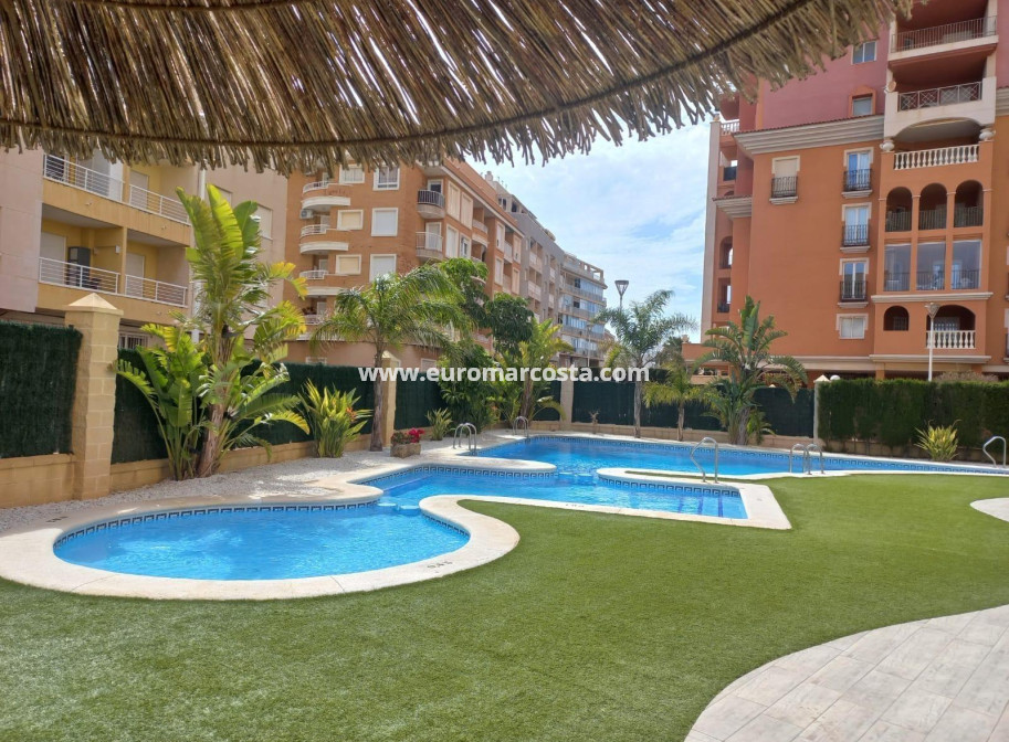 Venta - Apartamento / piso - Torrevieja - TORREVIEJA