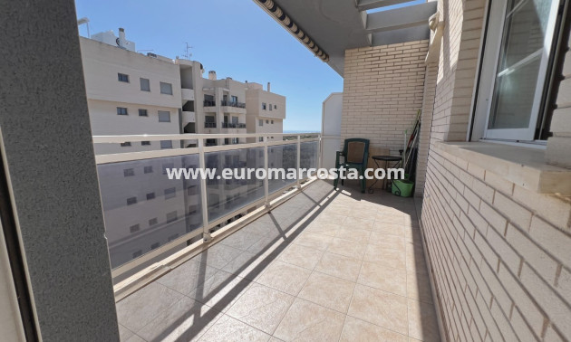 Sale - Apartment / flat - Guardamar del Segura