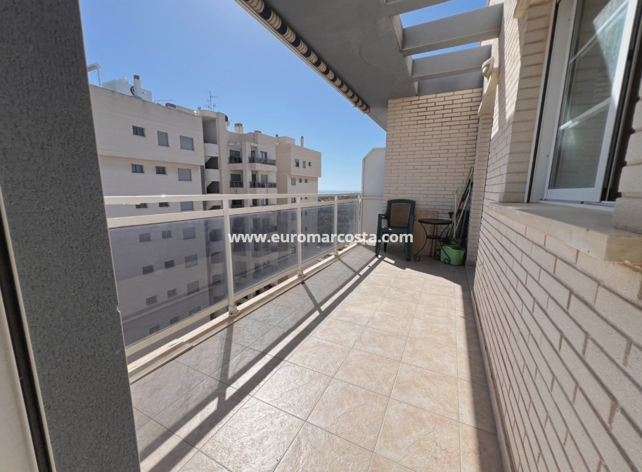 Venta - Apartamento / piso - Guardamar del Segura