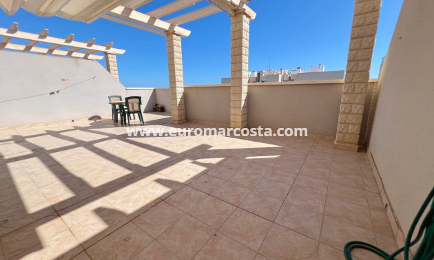 Sale - Apartment / flat - Guardamar del Segura