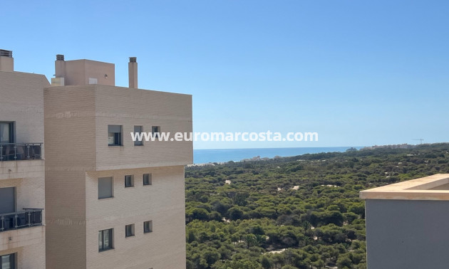 Venta - Apartamento / piso - Guardamar del Segura