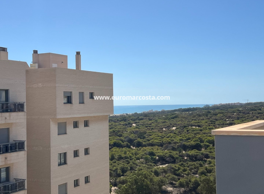 Venta - Apartamento / piso - Guardamar del Segura