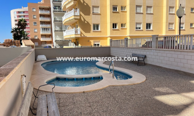 Venta - Apartamento / piso - Guardamar del Segura