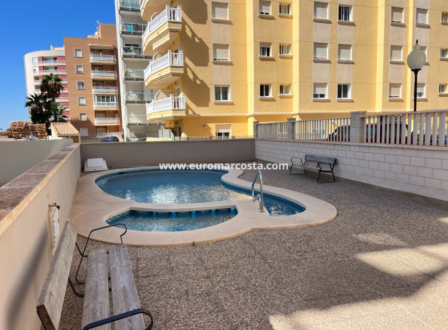 Venta - Apartamento / piso - Guardamar del Segura