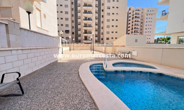 Venta - Apartamento / piso - Guardamar del Segura