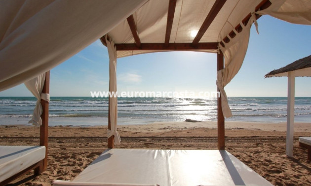 Sale - Bungalow Planta Baja - Torrevieja - TORREVIEJA