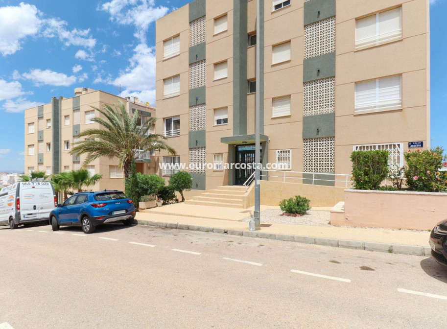 Venta - Apartamento / piso - Torrevieja - TORREVIEJA