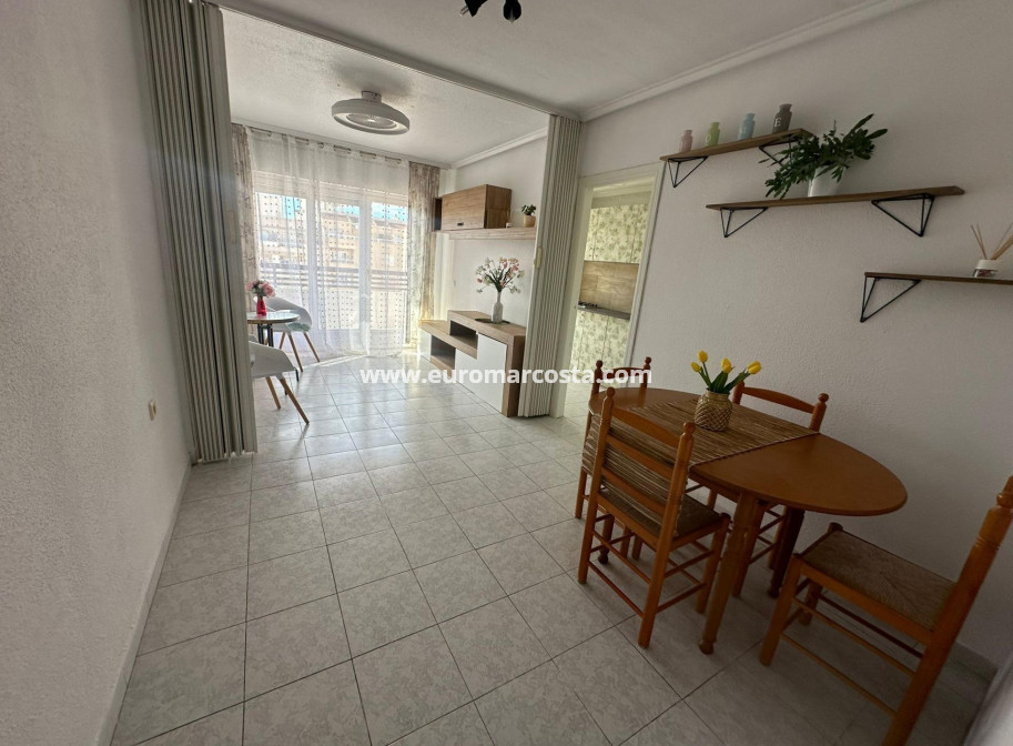 Sale - Apartment / flat - Torrevieja - TORREVIEJA