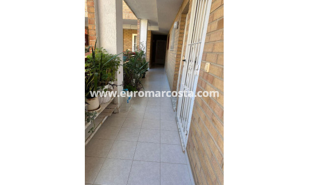 Sale - Apartment / flat - Torrevieja - TORREVIEJA