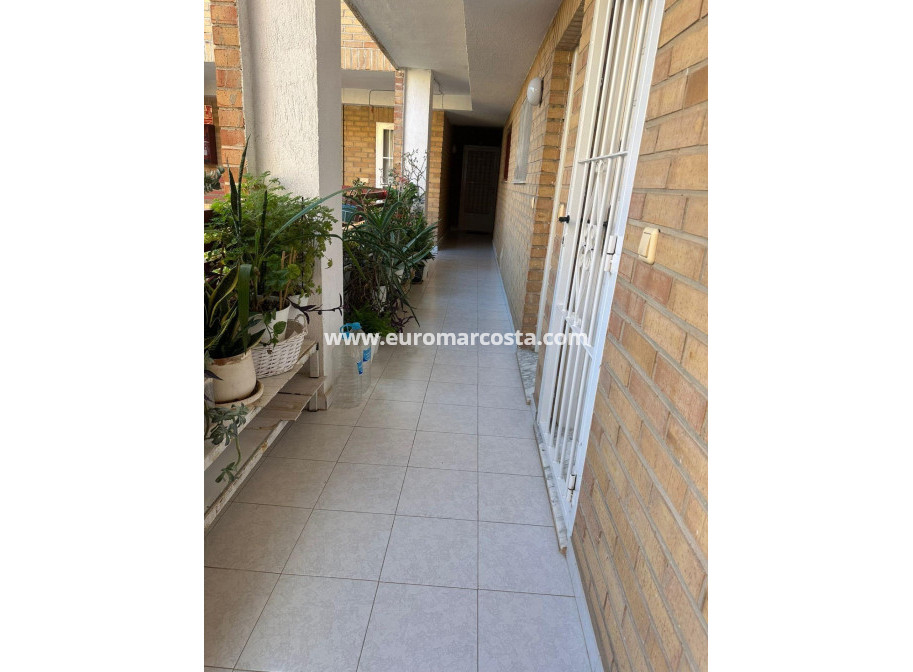 Sale - Apartment / flat - Torrevieja - TORREVIEJA