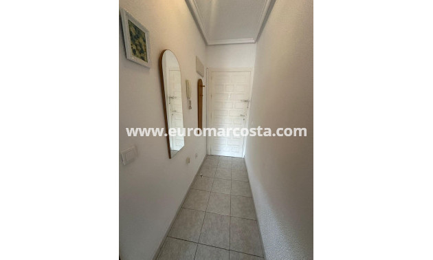 Sale - Apartment / flat - Torrevieja - TORREVIEJA