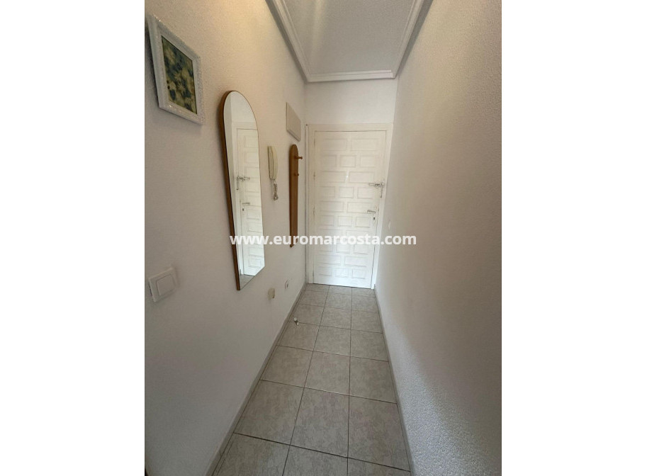 Sale - Apartment / flat - Torrevieja - TORREVIEJA