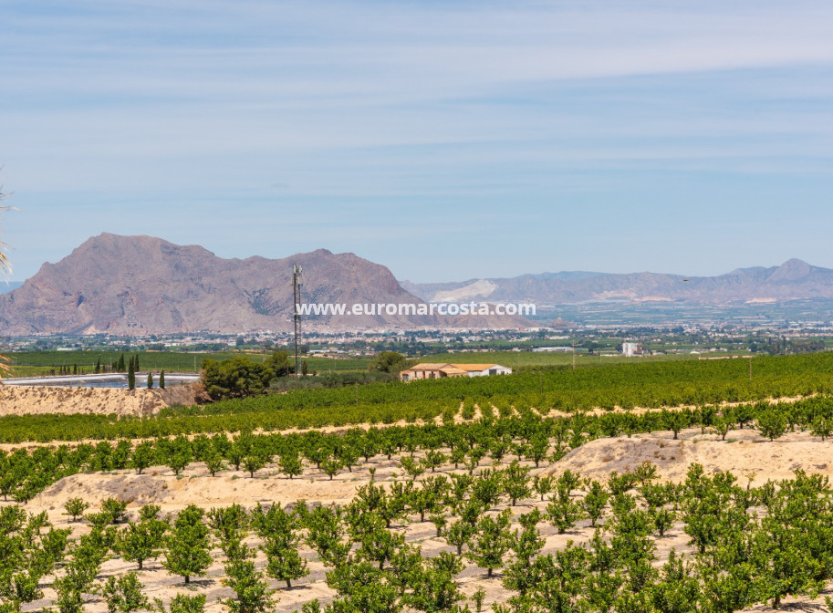 Nueva construcción  - Villa - Algorfa