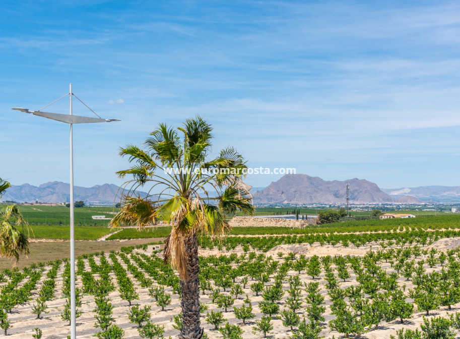 Nueva construcción  - Villa - Algorfa