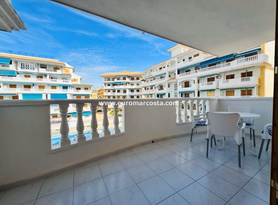 Sale - Apartment / flat - La Mata