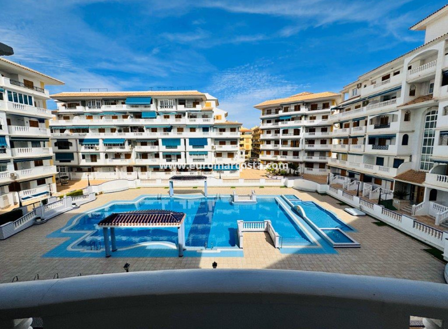 Sale - Apartment / flat - La Mata