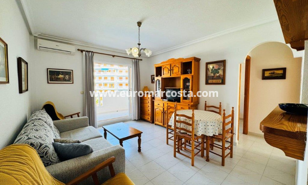 Venta - Apartamento / piso - La Mata