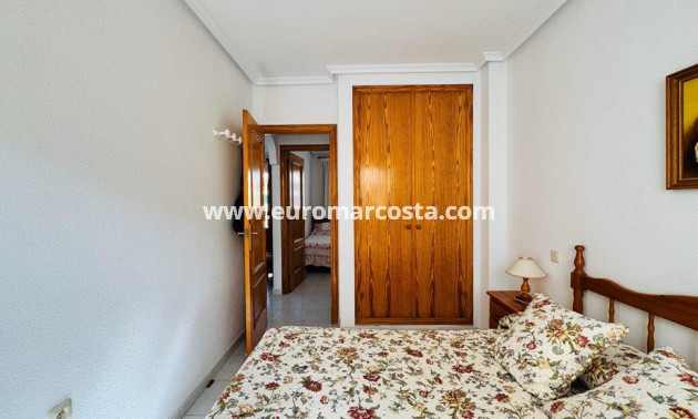 Sale - Apartment / flat - La Mata